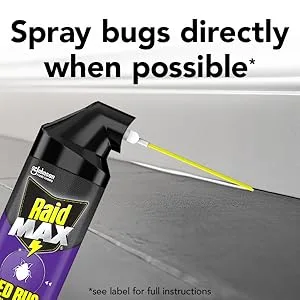 raid